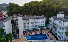 Viking Express Hotel